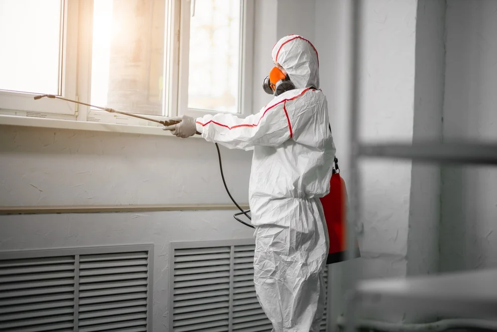 Professional mold remediation services in Bradenton Beach, FL